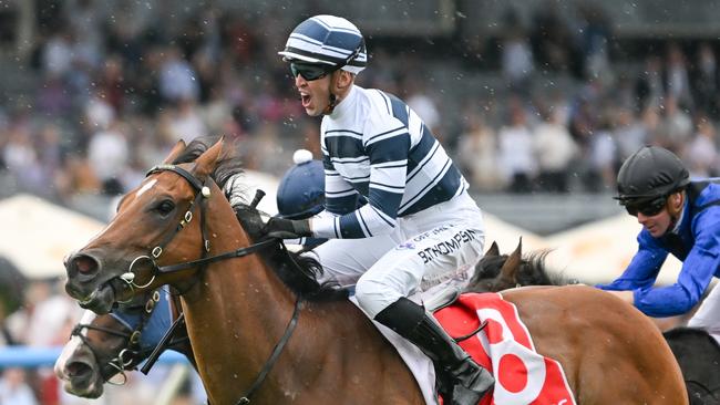 Ben Thompson reunites with Uncommon James on Saturday in The Quokka. Picture: Morgan Hancock—Racing Photos via Getty Images.