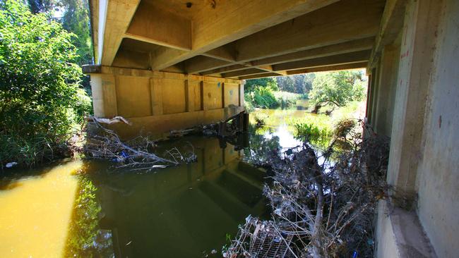 Duck River in Auburn is a notoriously dirty waterway and is now home to increased mosquito numbers. 