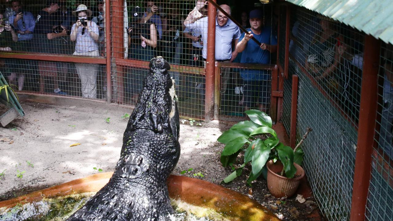 Captured in 1984 and bought to Marineland Melanesia Crocodile Park three years later, Cassius was 5.48 metres long, and weighed approximately one tonne. Picture: Brendan Radke