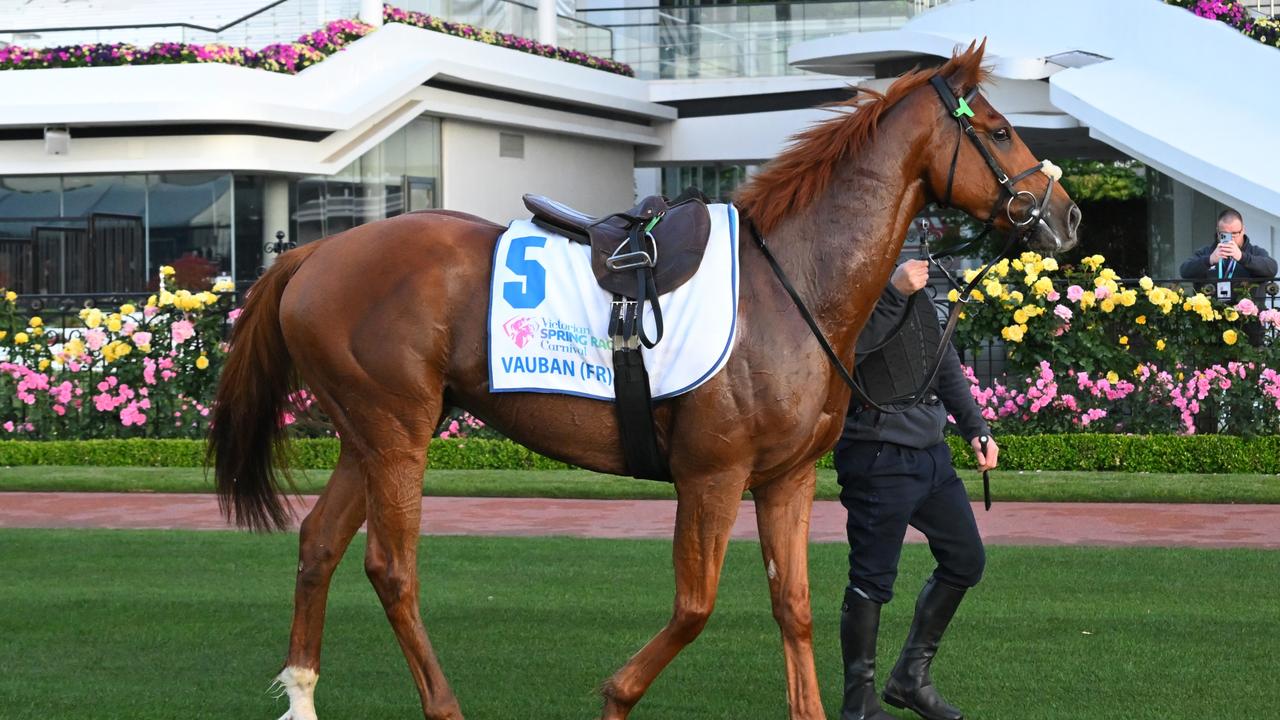 Melbourne Cup 2023: Runner-by-runner Guide, Tips And Betting Strategy ...