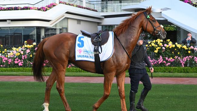 Vauban is the Melbourne Cup favourite. (Photo by Vince Caligiuri/Getty Images)