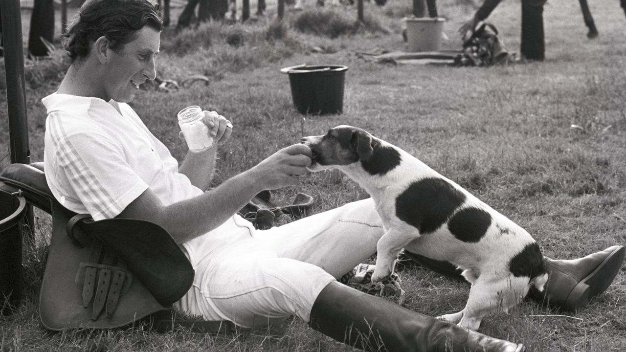 Dog lover Prince Charles relaxes with a cold drink after a polo match with his Jack Russell Tigger at Windsor Great Park in 1979. Picture: Arthur Edwards