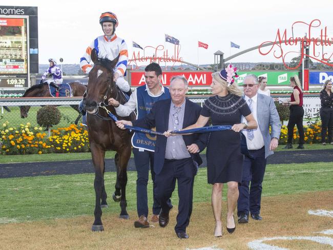 Connections bring Despatch back to scale after winning the Group 1 Goodwood. Picture: Atkins Photography