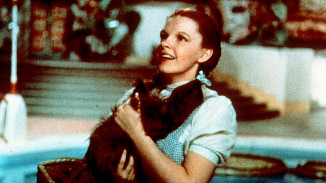 Wizard of Oz': 10 Things You Probably Didn't Know About the Classic  (Photos) - TheWrap