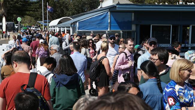 Tourists are being left on Watsons Bay wharf on the weekends because the ferries are too full. Pictures: Carly Earl