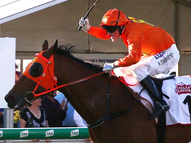 Jockey Robert Thompson rides The Harrovian to victory in the Cairns Amateurs Cup, held at the Cairns Jockey Club, Cannon Park. PICTURE: BRENDAN RADKE