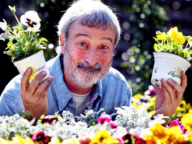 Celebrity gardener Don Burke made a lewd remark to the 24-year-old female presenter during a Channel 9 lunch, she claims.