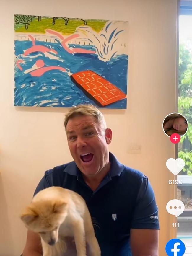 Shane Warne is seen in a TikTok clip and parody of the US teen drama, Euphoria.