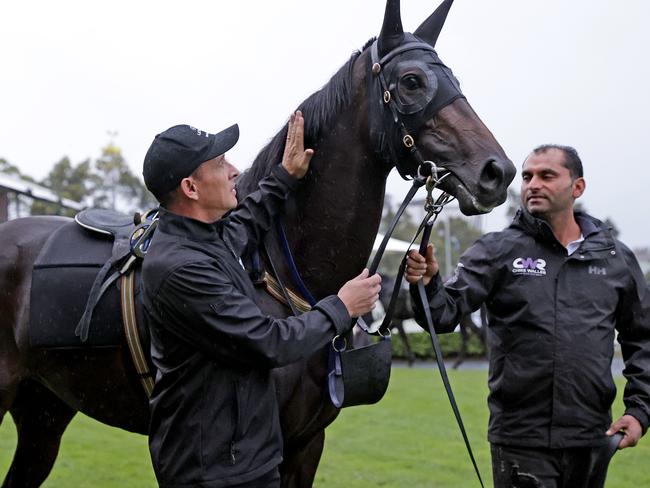 Verry Elleegant started with Darren Weir but ended up in the stable of Chris Waller (left). Picture: Toby Zerna