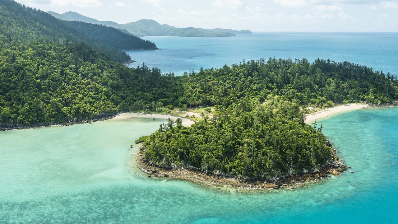 Seven saltie sightings in seas near Qld island resort