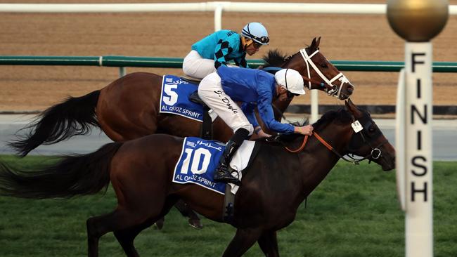 Jockey James Doyle pilots Jungle Cat as he crosses the finish line to win the Al Quoz Sprint in March. Picture: AFP