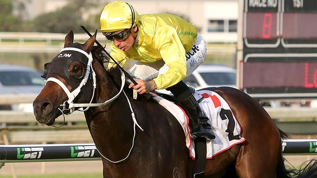 Impasse is racing in great form and should appreciate the step up to 1600m. Picture: AAP