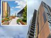 Shock number of defects in ‘urban sanctuary’ unit block