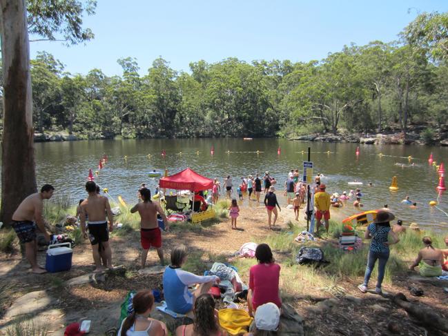 Cooling off in Lake Parramatta.