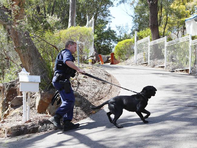 13/09/2018: DAY 2 - A sniffer dog arrives at 2 Gilwinga Dr, Bayview. NSW Police from the NSW homicide squad conduct a forensic search at the home of Lynette Joy Dawson's former home. Hollie Adams/The Australian