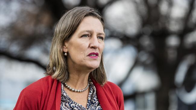 Leader of the Greens Cassy O'Connor, on Parliament Lawns. Picture: Richard Jupe