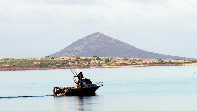 This peaceful Aussie island is home to a population of giant mutant snakes.