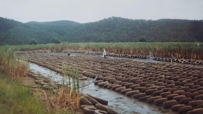 Supplied image of the Beenleigh Crayfish Farm in the mid-90s. Copyright Unknown