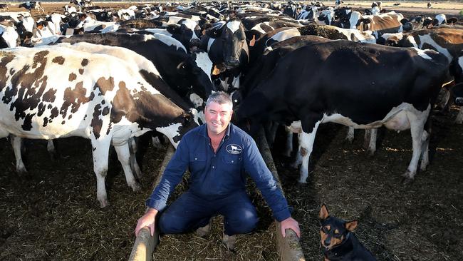 Swan Hill dairy farmer Matt Glowrey has received more than 70mm of rain in the past 24 hours.