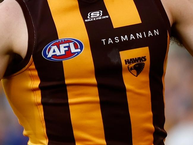 MELBOURNE, AUSTRALIA - MARCH 23: Mitch Lewis of the Hawks celebrates a goal during the 2024 AFL Round 02 match between the Hawthorn Hawks and the Melbourne Demons at the Melbourne Cricket Ground on March 23, 2024 in Melbourne, Australia. (Photo by Michael Willson/AFL Photos via Getty Images)