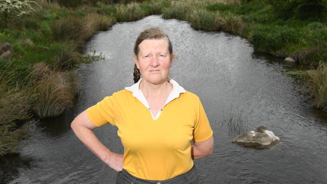 Wendy Moore was left horrified by the state of Merri Creek at Somerton. Picture: James Ross