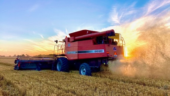 After droughts have affected much of North American barley growing land, Australia is in prime position to capture the Latin American brewing market as a main source of malting barley. Picture: Supplied