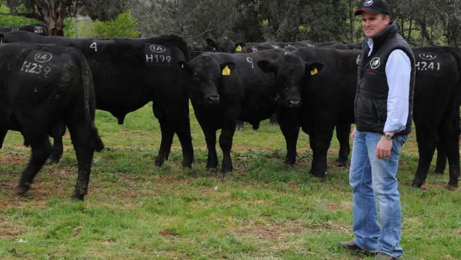 Corey Ireland wants more pay for looking after cattle on his property while receivers sort out ownership of the animals.