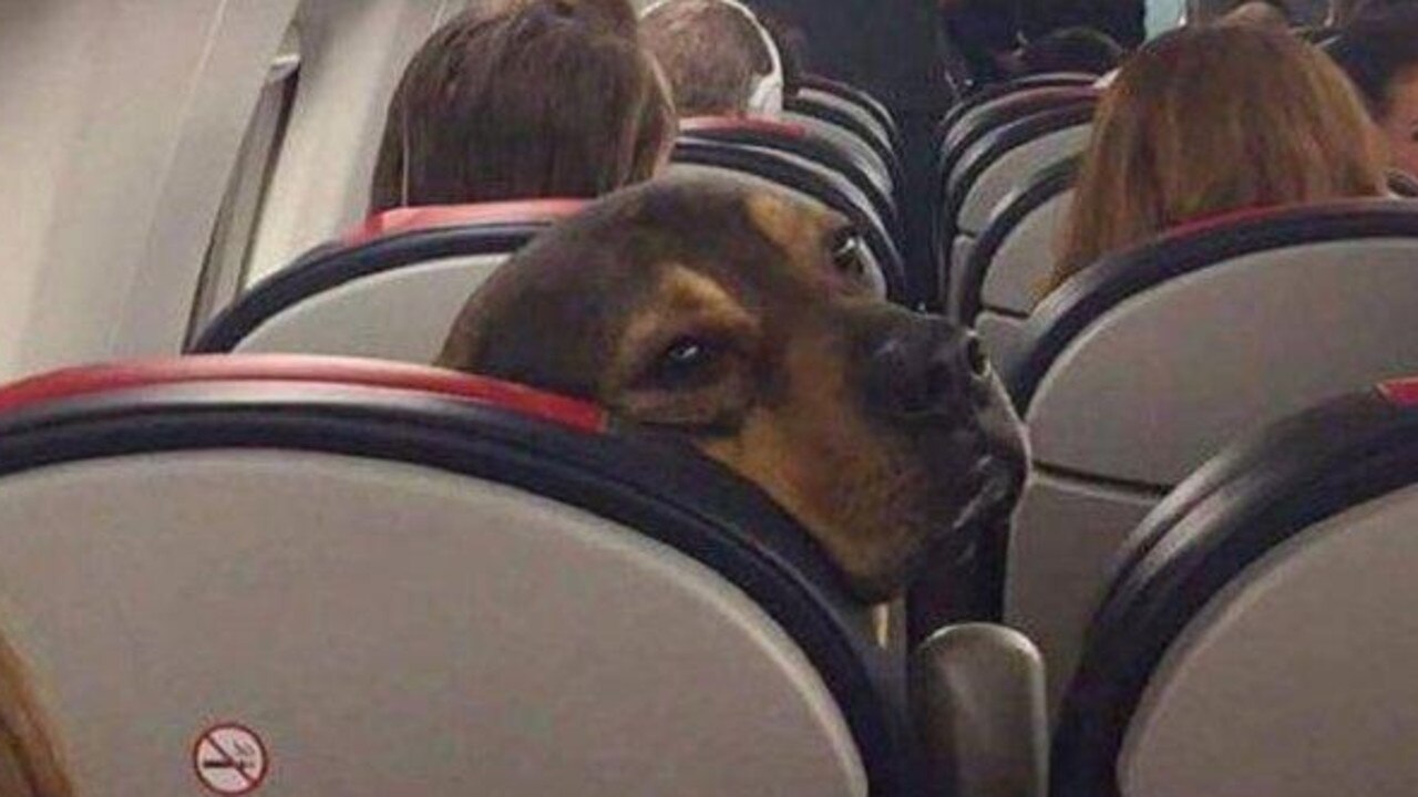 When you wake up and the food trolley is four rows behind you.