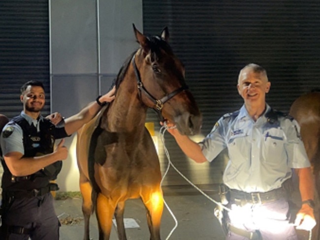 NSW Police offciers with the detained offenders at an industrial complex in Taren Point. Picture: Facebook.