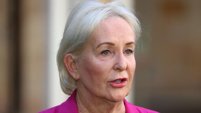 Shadow Health Minister Ros Bates during a news conference at state parliament, Brisbane. Picture: Liam Kidston.