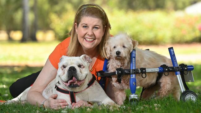 13/01/21. Debbie Mundy is the Founder of "Moving Paws Inc", which is an Always and Forever Haven for Senior and Special Needs dogs. Debbie has been nominated for the Thanks a Million campaign.Debbie with Betsy and Louie (blue wheels)Picture: Keryn Stevens