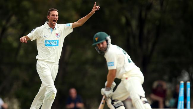 Trent Copeland celebrates a wicket while playing for New South Wales.