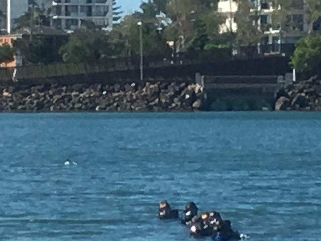 Police divers at Jack Evans Boat Harbour. Picture: Greg Stolz