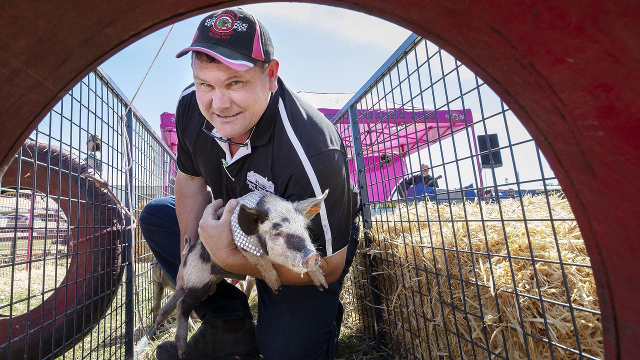 Kevin Kiley of Noah's Thoroughbred Racing Pigs. Picture: CHRIS KIDD