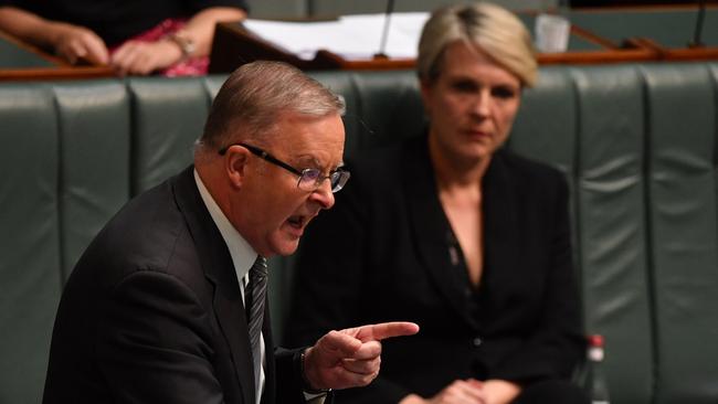 Anthony Albanese makes an emphatic point during question time on Monday. Picture: Getty Images