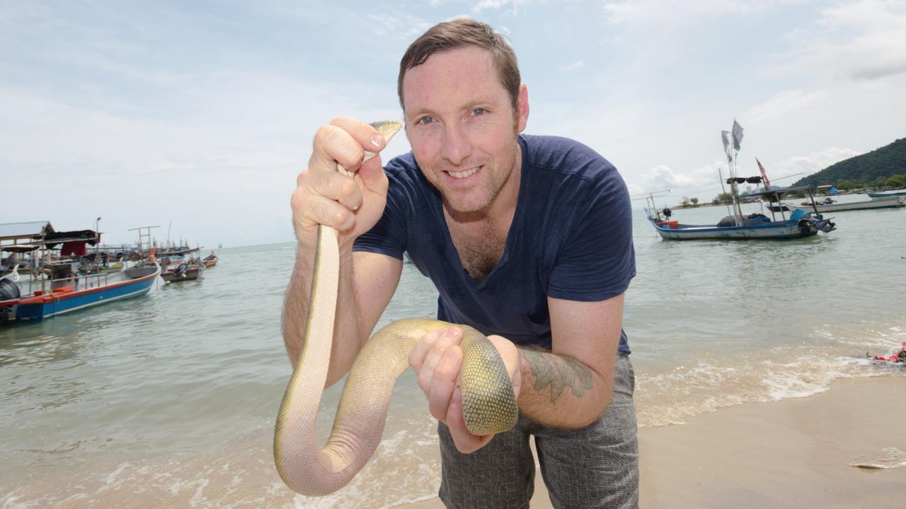 Darwin Snake Catchers director Luke Allen holds a highly venomous beaked sea snake. Picture: Supplied