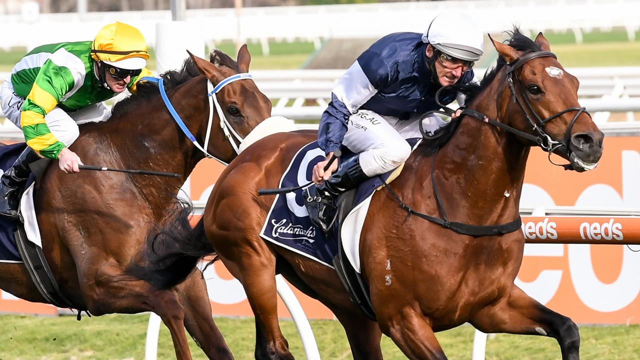 Caulfield Cup 2020: Orderofthegarter wins spot in classic after winning ...