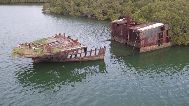 Mangroves have taken over the rusting hull of the SS Ayrfield. Picture: Joshua Hulm