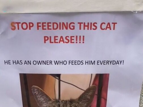 ‘Please stop’: Neighbour’s pet sign angers