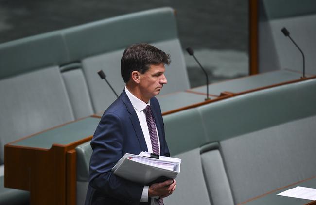 Angus Taylor. Picture: Lukas Coch