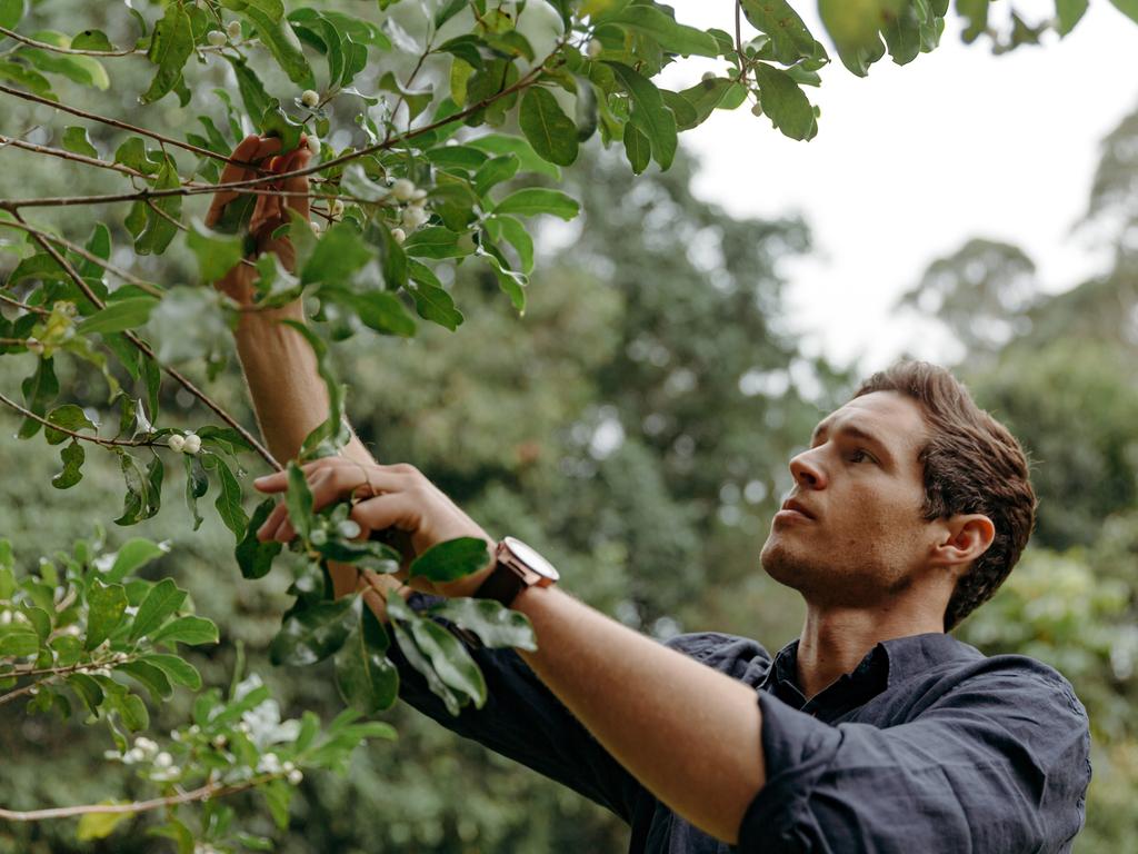 Cape Byron Distillery CEO Eddie Brook. Picture: Supplied