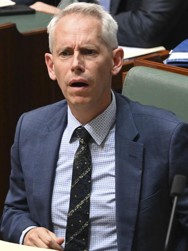Immigration Minister Andrew Giles came under fire from the opposition during Question Time on Thursday. Picture: NCA NewsWire / Martin Ollman
