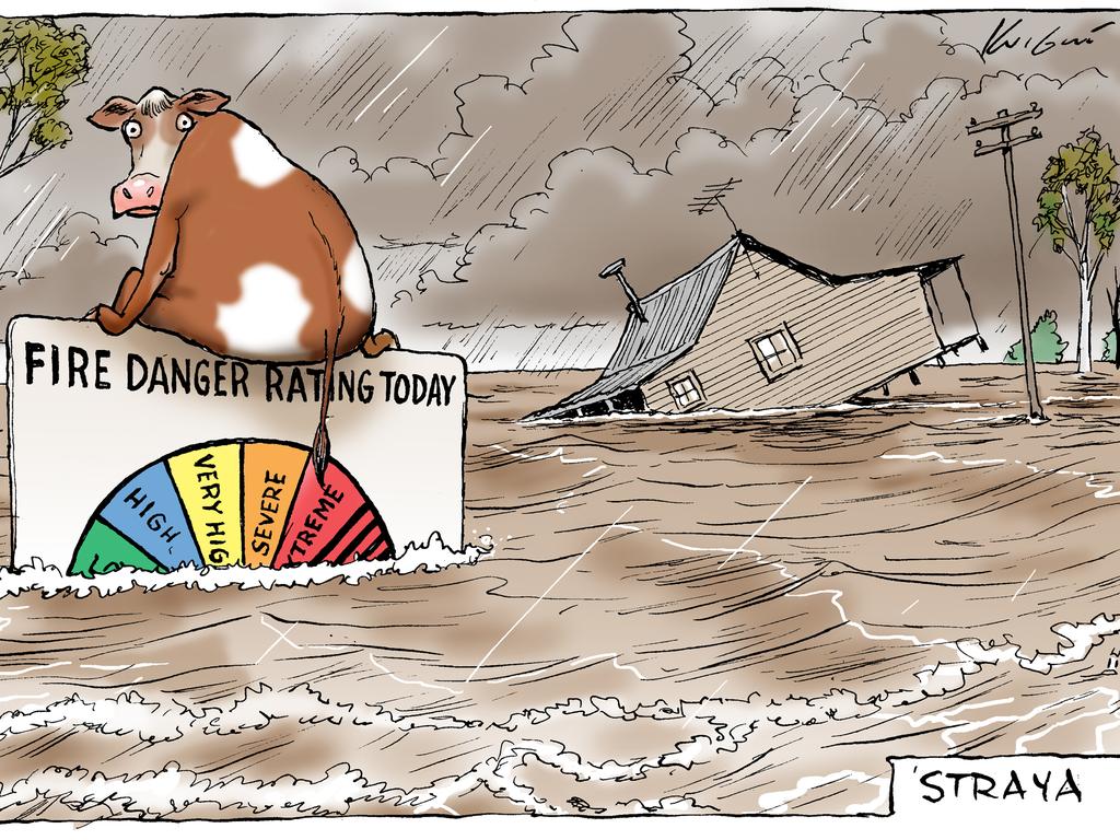 Floods Cartoon