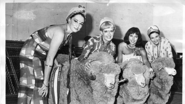 Royal Adelaide Show, 1965. Australian Wool Board models pose with champion merino sheep of the Royal show. From left, Jane Milne, Joan McInnes, Wendy Hill and Jill Buttery.
