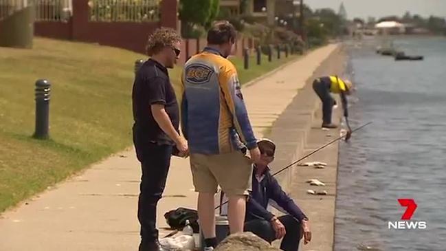 Dead fish wash up in Adelaide