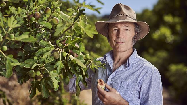 Willa Wauchope at Glen Ewin Estate in Lower Hermitage, with Willabrand Figs. Picture: Matt Loxton