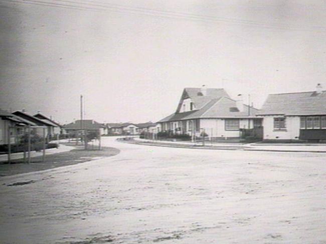 The garden suburb of Daceyville. Picture: State Library NSW
