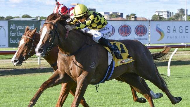 Smokin' Crazy looks well placed to land a second career win. Picture: Bradley Photos