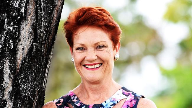 Leader of Pauline Hanson's One Nation Party Senator Pauline Hanson was in Townsville speaking with locals.   Picture: Zak Simmonds