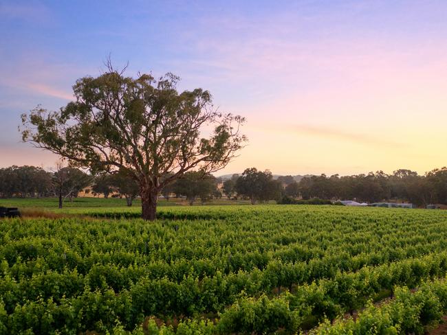 1282 Torrens Valley, Birdwood. Pic: Supplied